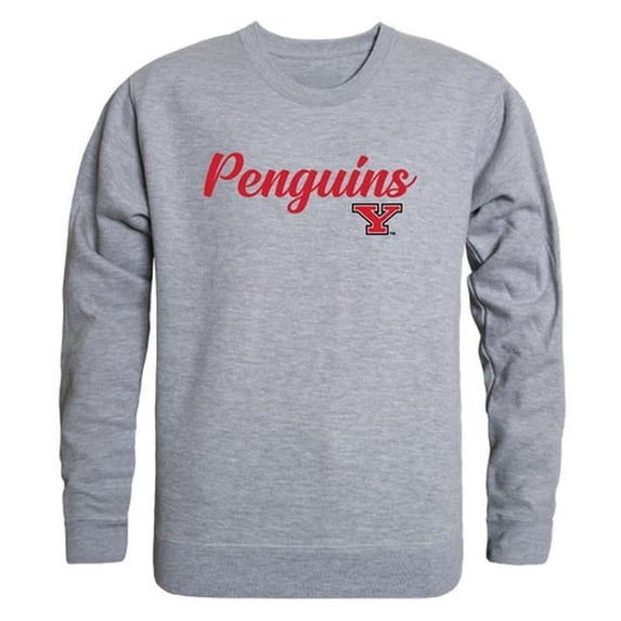 Youngstown State University Mens Script Crewneck T-Shirt, Heather Gray - Large