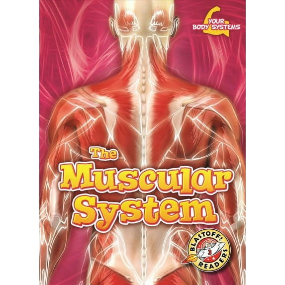 Your Body Systems: The Muscular System (Hardcover)