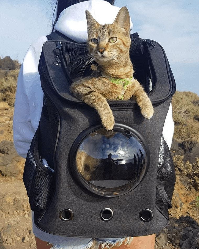Your Cat Backpack Your Cat Backpack