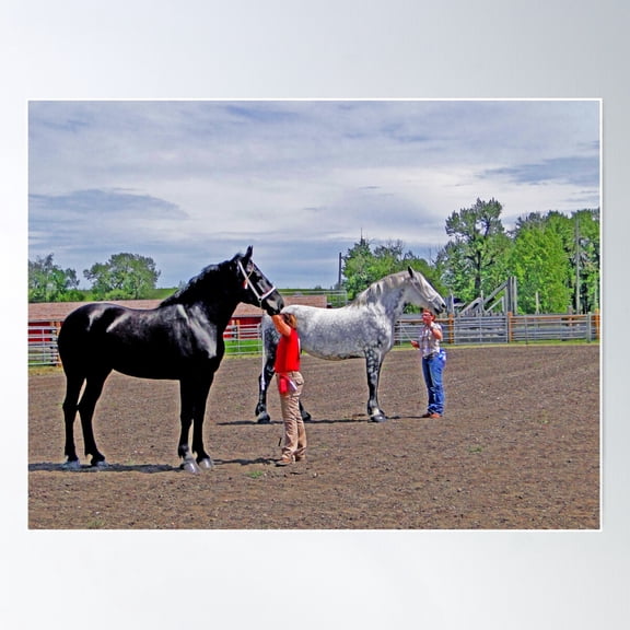 Your Choice, Grey Or Black Poster Wall Art, Modern Wall Decor For Living Room Bedroom, 8x12 UNFRAMED