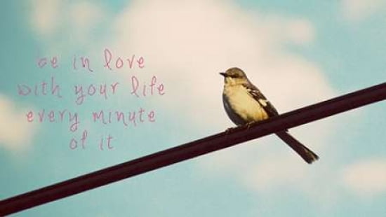 Your Life Canvas Art - Gail Peck (24 x 36)