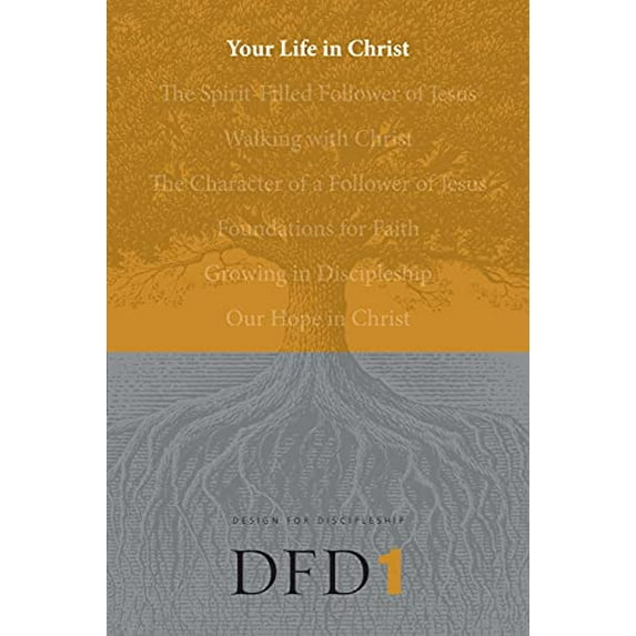 Pre-Owned Your Life in Christ (Paperback) 1600060048 9781600060045