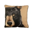 thumbnail image 1 of Your Lifestyle by Donna Sharp Canoe Trip Bear Decorative Lodge Style Throw Square Pillow, 1 of 5
