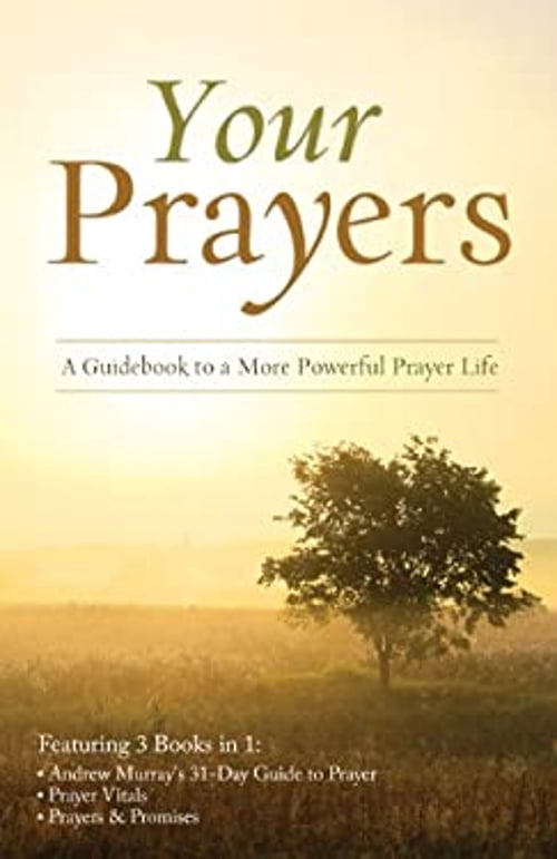 Pre-Owned Your Prayers: A Guidebook to a More Powerful Prayer Life ...