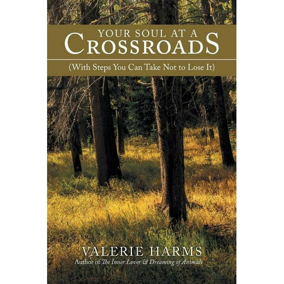 Your Soul at a Crossroads: (With Steps You Can Take Not to Lose It) (Paperback)