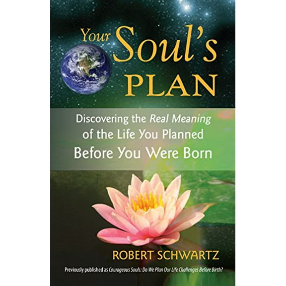 Pre-Owned Your Soul's Plan: Discovering the Real Meaning of the Life You Planned Before You Were Born (Paperback) 1583942726 9781583942727