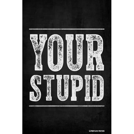 Your Stupid Demotivational Poster Print