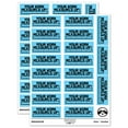 thumbnail image 1 of Your Work Measures Up Ruler Teacher Student School Sticker Set - Light Blue - Matte Finish - 2.00" Large, 1 of 7