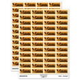 thumbnail image 1 of Your Work is Amoosing Amazing Teacher Student School Sticker Set - Orange - Matte Finish - 1.25" Mini, 1 of 7