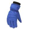 Youth All-Weather Ski Gloves, Thermal Waterproof Durable Outdoor Gloves, Essential Cold-Weather Gear for Winter Sports and Play,Blue L