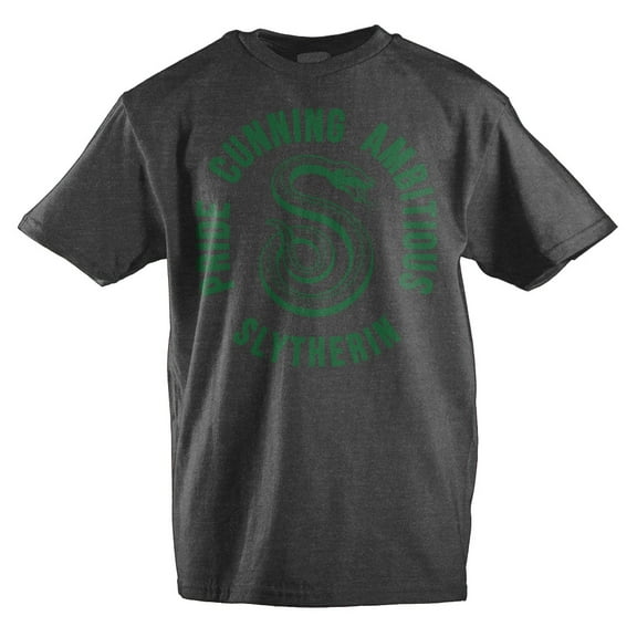 Youth Boys Slytherin TShirt Harry Potter Graphic Tee-Large