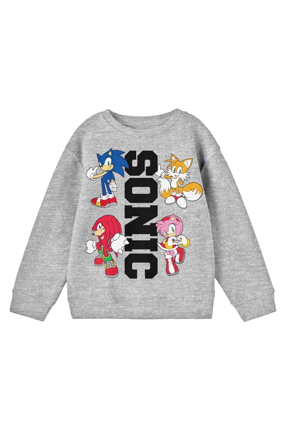 Youth Boys Sonic the Hedgehog Characters & Text Heather Grey Sweatshirt - XL