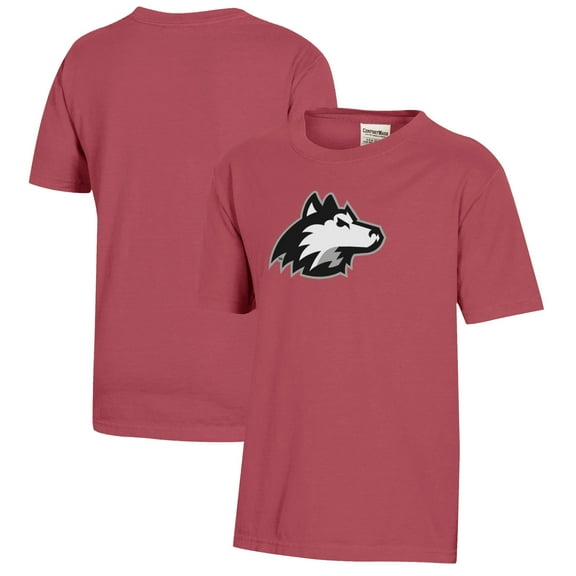 Youth  Cardinal Northern Illinois Huskies Logo Comfort Wash T-Shirt