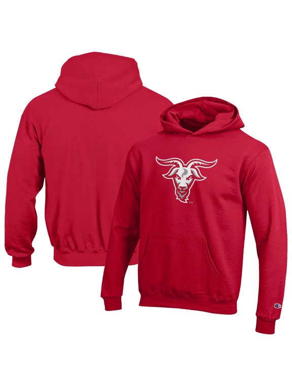 Youth Champion Red Worcester Polytechnic Institute Engineers Eco Powerblend Pullover Hoodie
