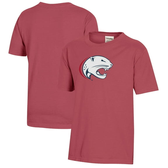 Youth  Crimson South Alabama Jaguars Logo Comfort Wash T-Shirt