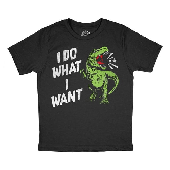 Youth Funny T Shirts I Do What I Want Sarcastic T Rex Graphic Novelty Tee For Kids
