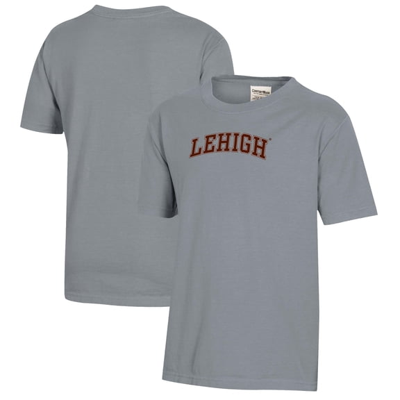 Youth  Gray Lehigh Mountain Hawks Logo Comfort Wash T-Shirt