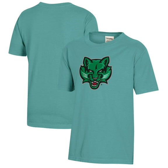 Youth  Green Binghamton Bearcats Logo Comfort Wash T-Shirt