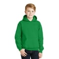 thumbnail image 1 of Youth Heavy Blend Hooded Sweatshirt, 1 of 2