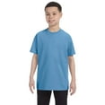 thumbnail image 1 of Youth Heavy Cotton 100 Cotton T-Shirt, 1 of 4