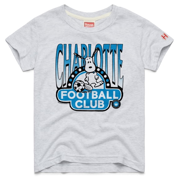 Youth Homage  Gray Charlotte FC MLS x Peanuts Snoopy Graphic Tri-Blend T-Shirt