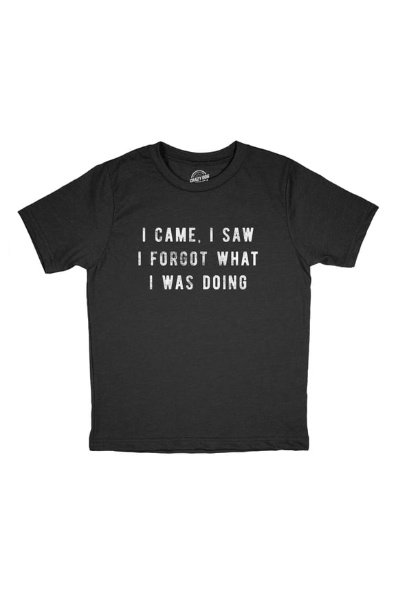 Youth I Came I Saw I Forgot What I Was Doing T Shirt Funny Short Term Memory Joke Tee for Kids