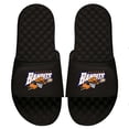 thumbnail image 1 of Youth ISlide Black Buffalo Bandits Primary Logo Slide Sandals, 1 of 1