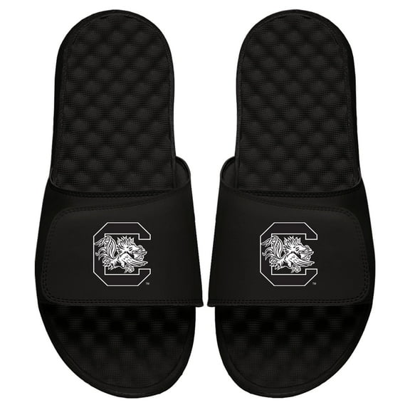Youth ISlide Black South Carolina Gamecocks Primary Logo Slide Sandals
