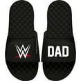 thumbnail image 1 of Youth ISlide Black WWE Logo Dad Slide Sandals, 1 of 1