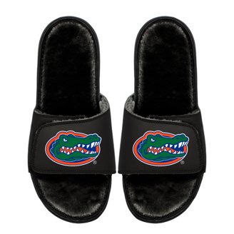 Florida Gator Slides display picture 3