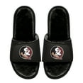 thumbnail image 1 of Youth ISlide  Florida State Seminoles Logo Fur Slide Sandals, 1 of 1