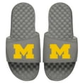 thumbnail image 1 of Youth ISlide Gray Michigan Wolverines Primary Logo Slides, 1 of 1