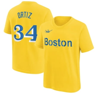 Nike Dri-FIT City Connect Velocity Practice (MLB Boston Red Sox) Men's  T-Shirt