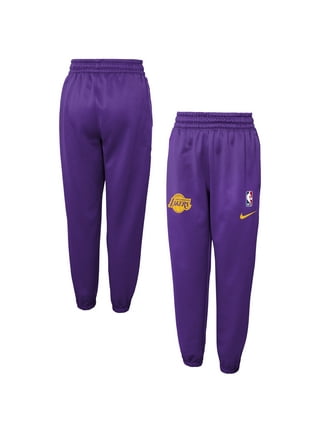 Youth Los Angeles Lakers Nike Black Spotlight Performance Pants
