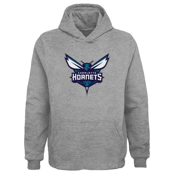 Youth Outerstuff Gray Charlotte Hornets Primary Logo Pullover Hoodie