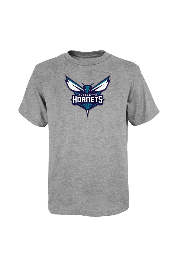 Youth Outerstuff Gray Charlotte Hornets Primary Logo T-Shirt
