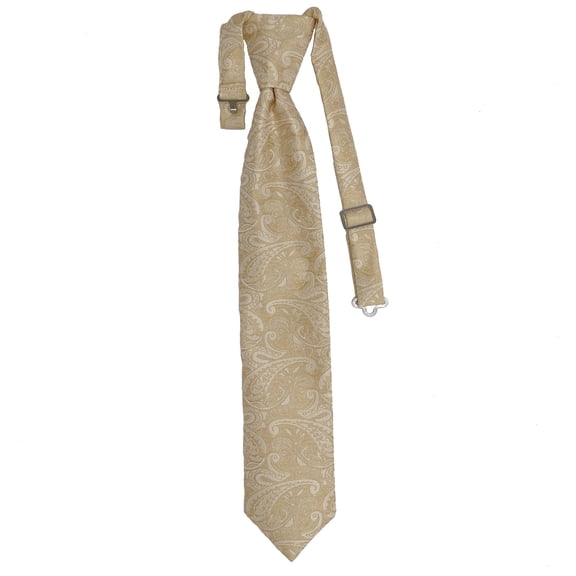 Youth Paisley Champagne Formal Satin Pre-Tied Neck Tie in a Variety of Colors by Spencer J’s Signature Satin Collection