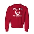thumbnail image 1 of Youth Pluto Never Forget 1930 - 2006 Funny Science Crewneck Sweatshirt, 1 of 1