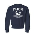 thumbnail image 1 of Youth Pluto Never Forget 1930 - 2006 Funny Science Crewneck Sweatshirt, 1 of 1
