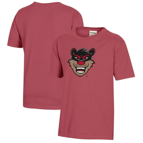 Youth Red Cincinnati Bearcats Logo Comfort Wash T-Shirt