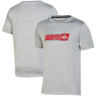 https://i5.walmartimages.com/seo/Youth-Russell-Athletic-Gray-Ohio-State-Buckeyes-Team-T-Shirt_1358394c-49e0-45ee-8364-b3aebab6564d.89f1c67ad8d7afe5977fb4e7146374e9.jpeg?odnHeight=320&odnWidth=320&odnBg=FFFFFF