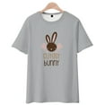 thumbnail image 1 of Youth Short Sleeve T-Shirt, Parent-child Outing Wear Tops, Easter Bunny Pattern, Comfort Tee, Multi-Size, Grey, 1 of 15