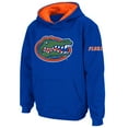 thumbnail image 1 of Youth Stadium Athletic Royal Florida Gators Big Logo Pullover Hoodie, 1 of 1