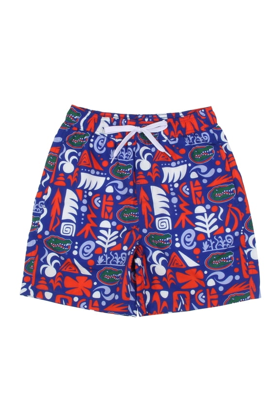 Youth Wes & Willy Royal Florida Gators Allover Print Swim Shorts