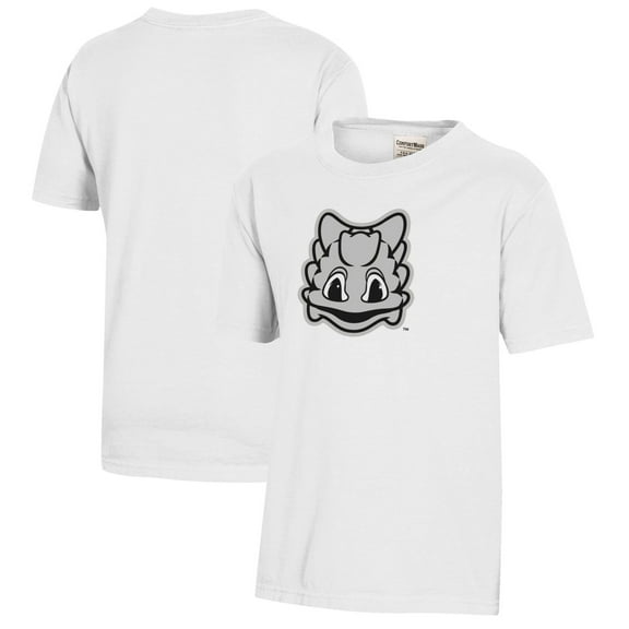 Youth  White TCU Horned Frogs Logo Comfort Wash T-Shirt