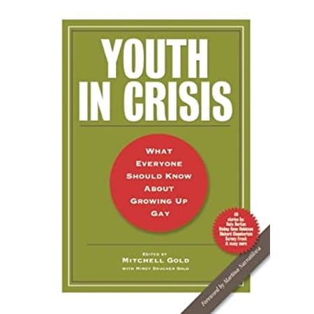 Pre-Owned Youth in Crisis: What Everyone Should Know about Growing Up Gay (Paperback) 1936833131 9781936833139