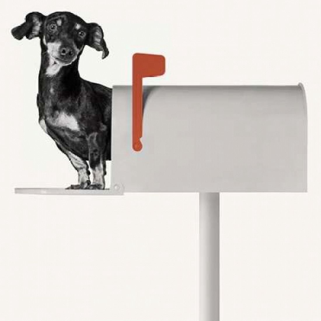 Youve Got Mail Canvas Art - Jon Bertelli (24 x 24)