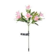 thumbnail image 1 of Yoziaaoa 1 Pcs Automatic Solar Stake Lights with 6-12 Hour Runtime, Durable Plastic Construction for Courtyard and Holiday Use, 1 of 5