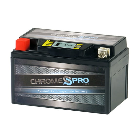 Ytz10S-Bs High Performance - Maintenance Free - Sealed Igel Powersport Battery