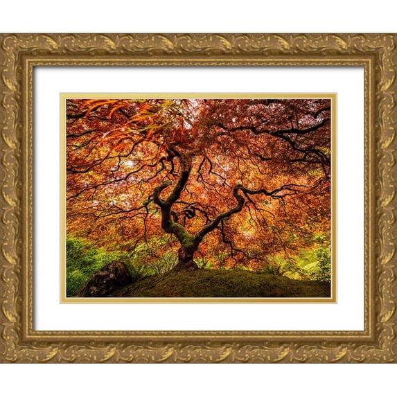 Yu, Wenjin 14x12 Gold Ornate Wood Framed with Double Matting Museum Art Print Titled - A Senior Maple Tree